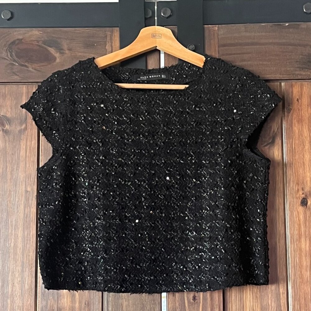 Zara Sequin Knit Top